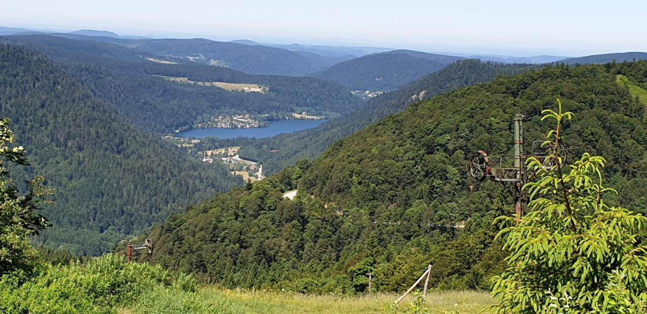 Chalet Les Myrtilles Metzeral Exteriör bild