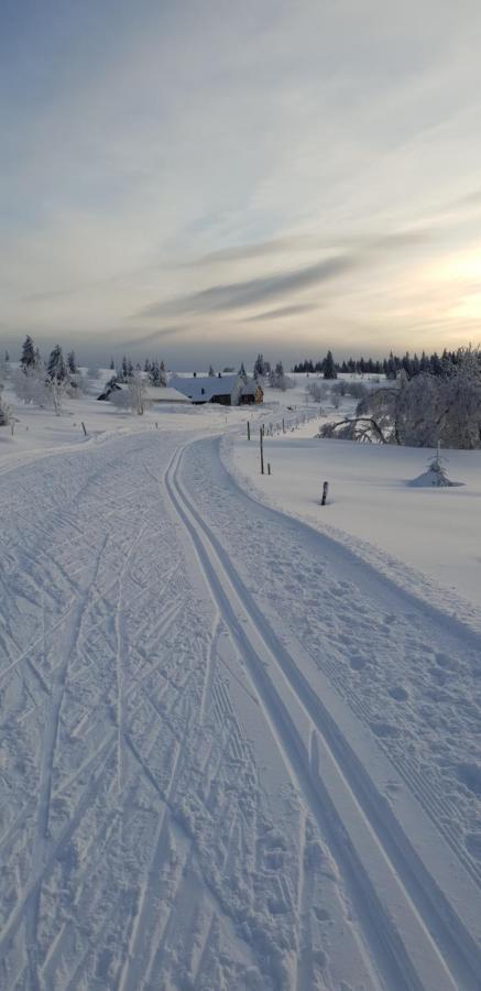 Chalet Les Myrtilles Metzeral Exteriör bild