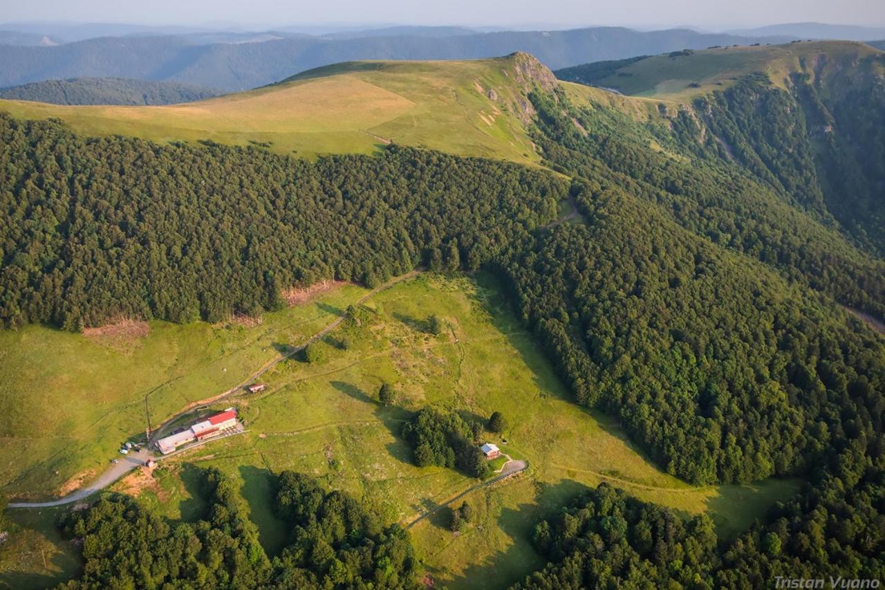 Chalet Les Myrtilles Metzeral Exteriör bild