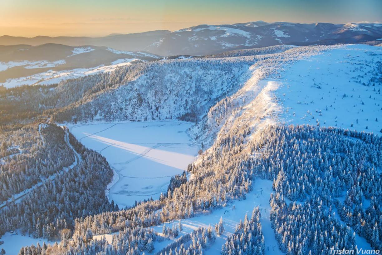 Chalet Les Myrtilles Metzeral Exteriör bild