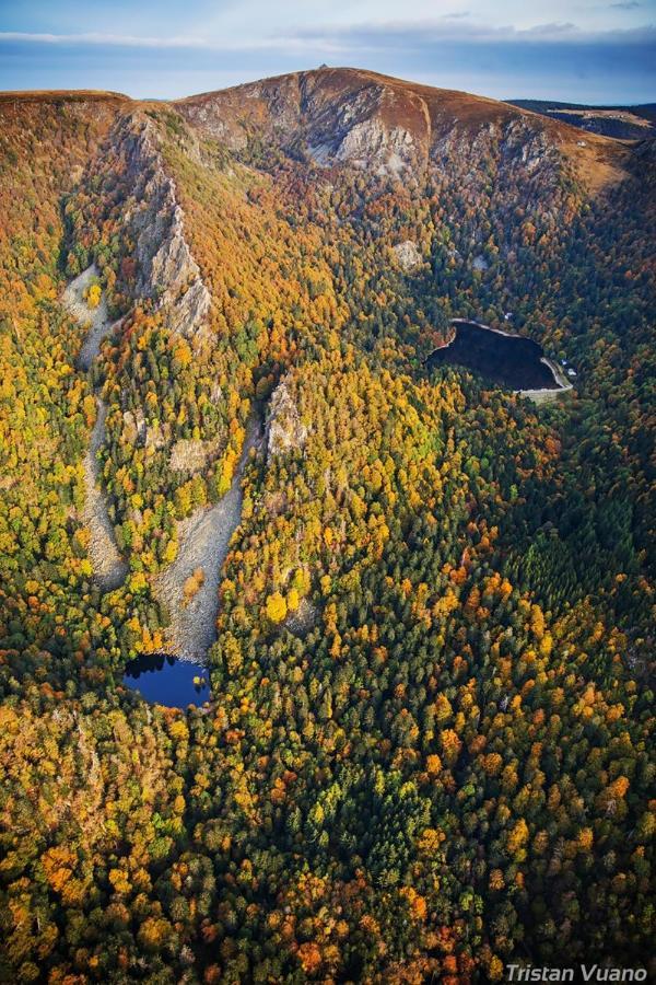 Chalet Les Myrtilles Metzeral Exteriör bild